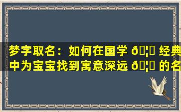 梦字取名：如何在国学 🦄 经典中为宝宝找到寓意深远 🦉 的名字